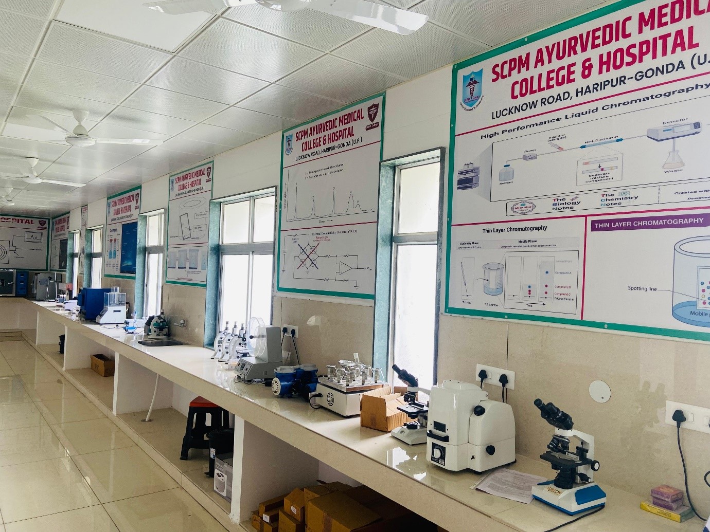 Lab Work